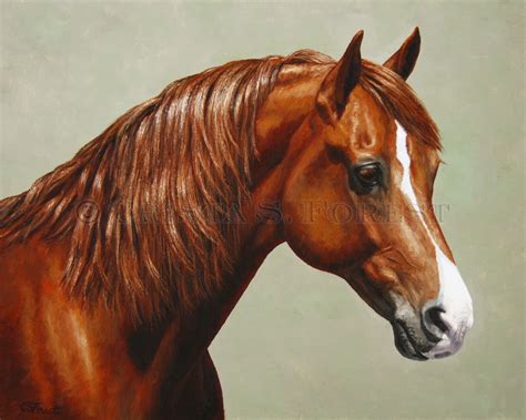 Image Gallery horse portrait equine art