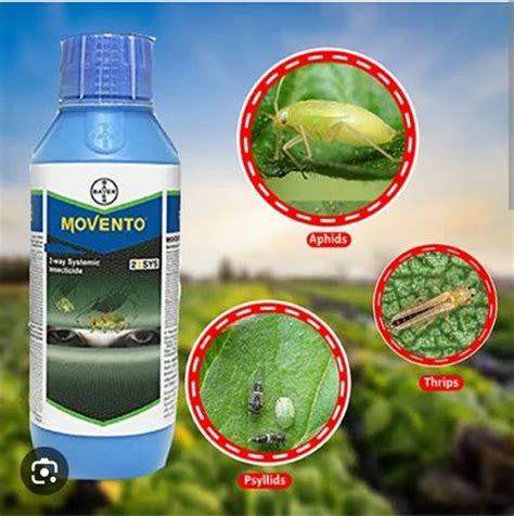 MOVENTO 150 OD INSECTICIDE, 1 Litre at Rs 3700/litre in Etawah | ID: 2852824682433