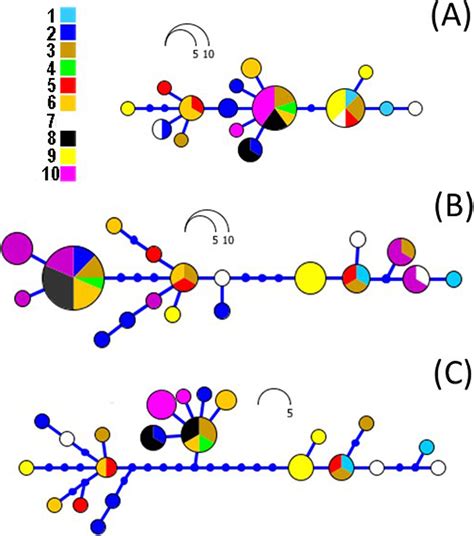 Phylogeographic and population insights of the Asian common toad (Bufo gargarizans) in Korea and ...