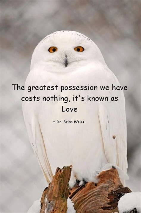 Greatest possession is love | Owl quotes, Wisdom quotes, Strong quotes