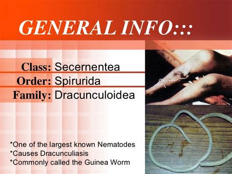 Dracunculiasis (Dracunculus medinensis) (guinea worm disease)