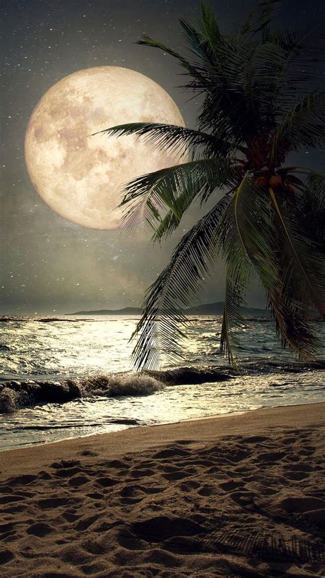 Moonlight Beach. in 2019. nature, Beach Moon HD phone wallpaper | Pxfuel