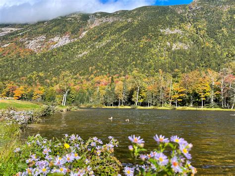 22 Best New Hampshire State Parks with Lakes, Waterfalls, Hiking Trails ...