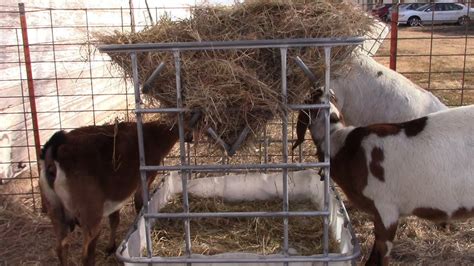 Easy DIY Hay Feeder For Goats or Calves - YouTube