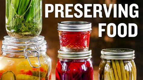 Useful Tips and Examples of Food Preservation - YouTube