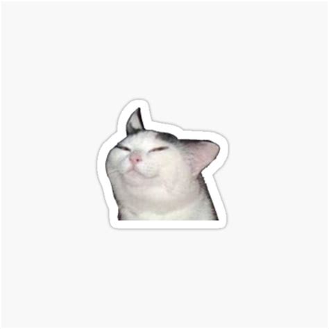 "smug cat meme" Sticker for Sale by vsadwitch | Redbubble