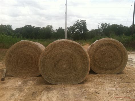 hay bales | StateImpact Texas