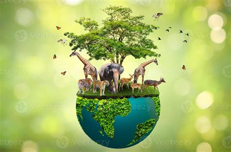 Concept of conserve wildlife on green background 3348626 Stock Photo at Vecteezy