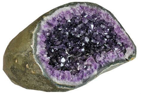 10.2" Sparkly, Dark Purple Amethyst Geode - Uruguay (#151329) For Sale - FossilEra.com