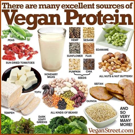 Vegan food sources | Vegan protein sources, Vegan foods, Vegan nutrition