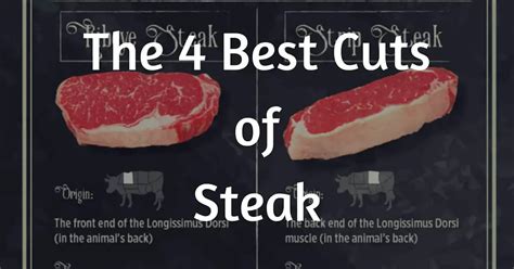 What Are The Best Cuts Of Steak | Get Healthy and Strong Today