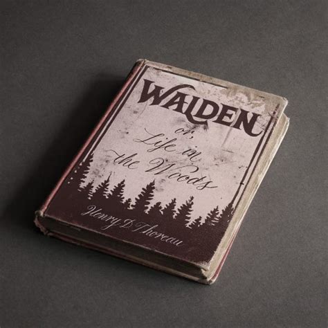 Walden book cover - Javier Piñol