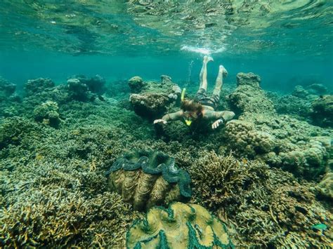 The Sunken Cemetery In Camiguin - Visitor's Guide