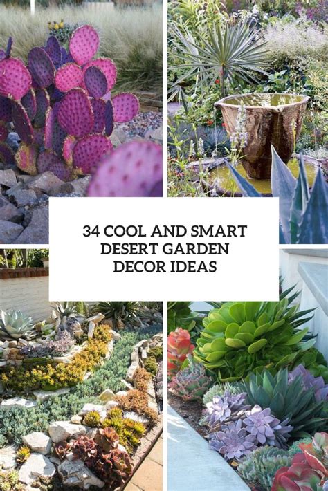 34 Cool And Smart Desert Garden Decor Ideas - Shelterness