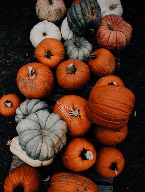 Fall pumpkin patch farmers market containing fall colors, fall foods, and | Pumpkin wallpaper ...