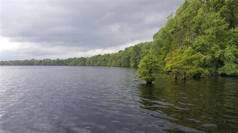 Best Hiking Trails in Great Dismal Swamp National Wildlife Refuge ...