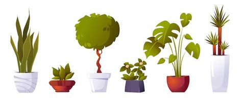 Free Vector | Set of home potted plants and trees in flowerpots