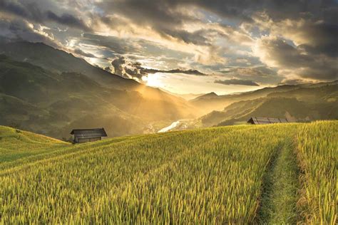 Best 12 Vietnam Rice Fields That You Need To Visit (2024 Guide)