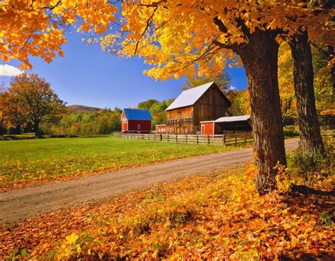 Route 100, Vermont -- about 80% of Vermont is forested, making most of ...