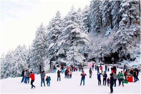 Himachal Pradesh Tourism Update: Shimla Authorities Ban Snow Activities ...