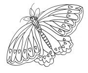 Coloriage Magnifique Papillon gratuit à imprimer liste 40 à 60