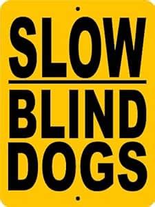 Amazon.com - BLIND DOG SIGN 9"x12" ALUMINUM "ANIMALZRULE ORIGINAL ...