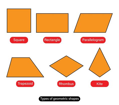 Types of geometric shapes quadrilateral shapes names vector ...