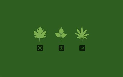 Marijuana Leaf Wallpaper - WallpaperSafari