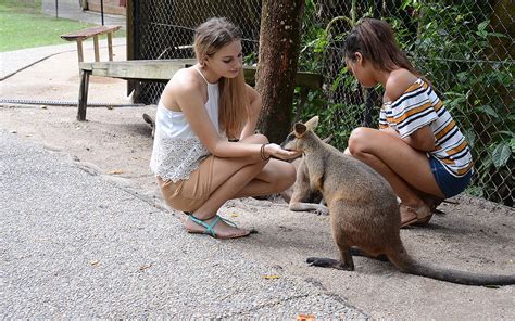 Map of Kuranda Koala Gardens - Interactive Online Map