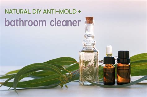 Natural DIY Anti-Mold Spray and Bathroom Cleaner Recipe