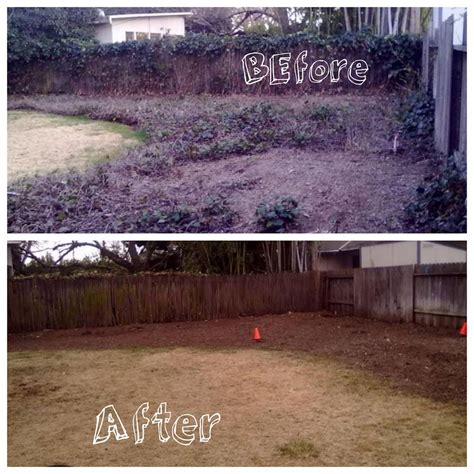 Before and After Clean Up 2 | CleanCutLawn