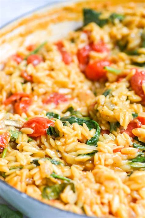 Creamy Vegan Tomato Orzotto - Earthly Provisions