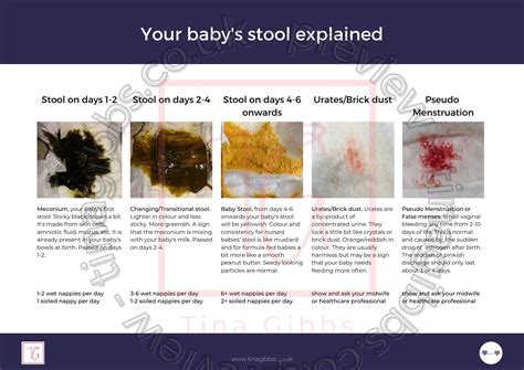 Your baby's stool - handout - Tina Gibbs - Perinatal education