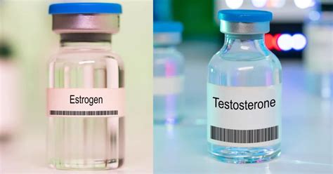 A Comprehensive Guide on The Functions of Estrogen And Testosterone