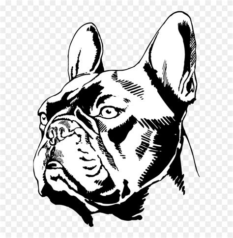 Dc00328 - French Bulldog Logo, HD Png Download - 600x780 (#1953910 ...
