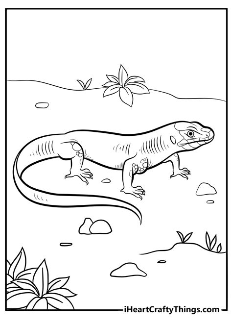 Lizard Coloring Pages