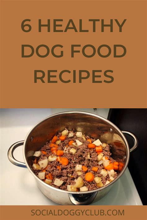 6 healthy dog food recipes are perfect for busy owners – Artofit