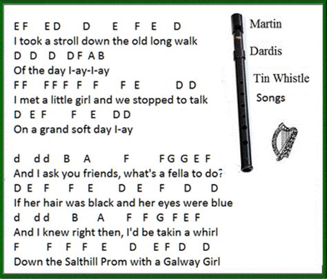 Galway Girl Song Lyrics Guitar Chords And Tin Whistle Sheet Music ...