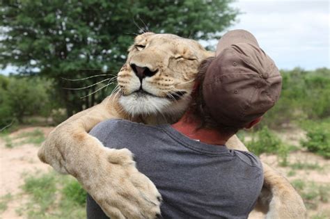 La storia della leonessa che abbraccia l'uomo diventa un film - Repubblica.it