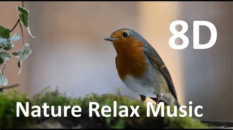 Nature relaxing Music (sound of birds and water) - meditation,calm ...