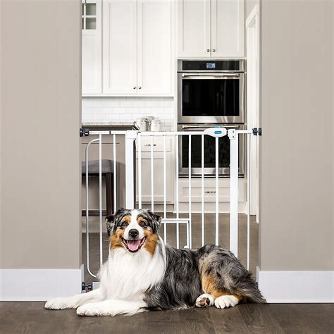 Carlson Pet Products Extra Wide Walk-Thru Gate with Pet Door - Chewy.com