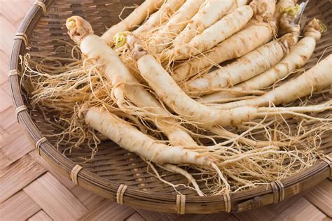 How to Grow Ginseng - Plant Instructions