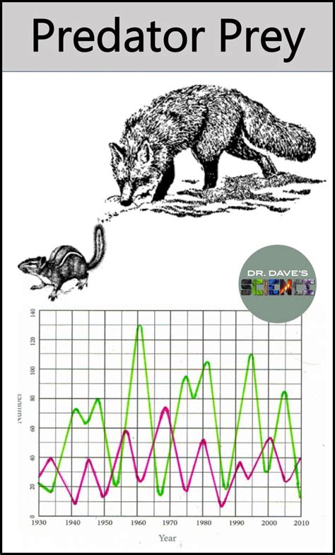 Predator and Prey Relationship and Graph NGSS MS-LS2-2 | Life science ...