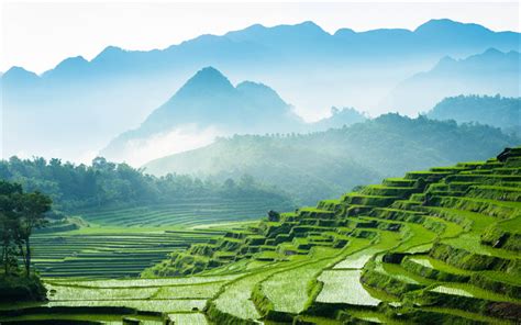 Download wallpapers Vietnam, 4k, rice fields, mountains, rice ...