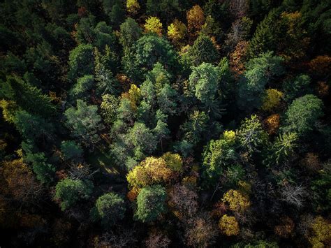 Forest Landscape - Aerial Photography Photograph by Nicklas Gustafsson - Fine Art America