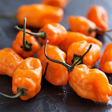 Organic Habanero Orange Pepper Seeds – Sweet Yards