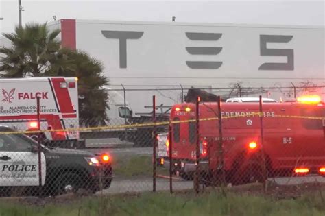 Tesla employee booked for suspicious death at the Fremont Factory ...