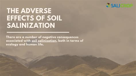 PPT - How to Measure Soil Salinization PowerPoint Presentation, free download - ID:11578306