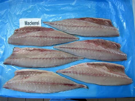 Atlantic Mackerel – Diversity Seafoods.