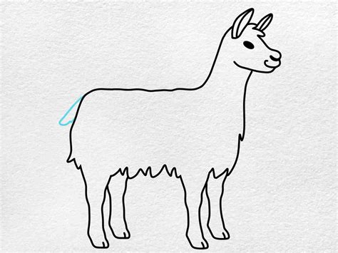 Llama Drawing - HelloArtsy